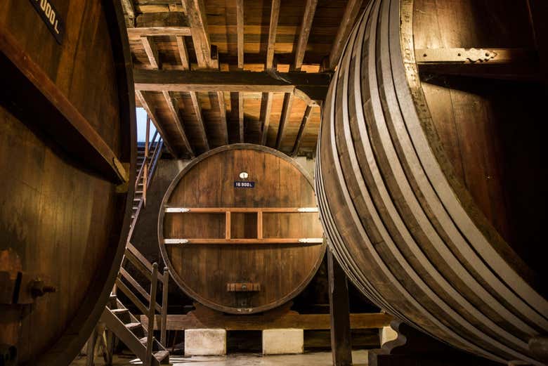 Interior de la bodega uruguaya Viña Varela Zarranz