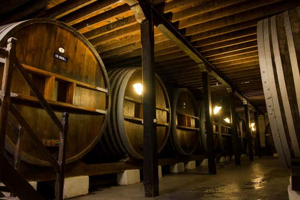 Visita à adega Viña Varela Zarranz