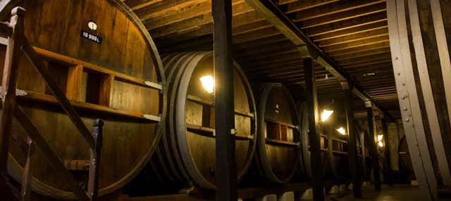 Visita a la bodega Viña Varela Zarranz