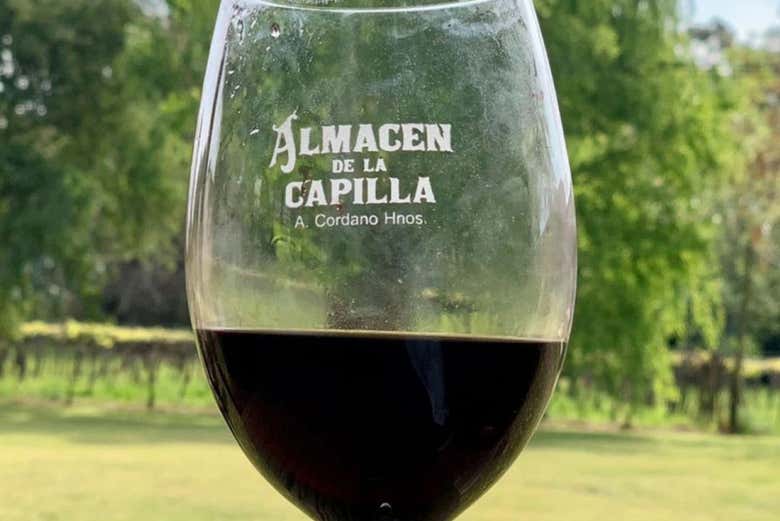 Una copa de vino tinto de la bodega