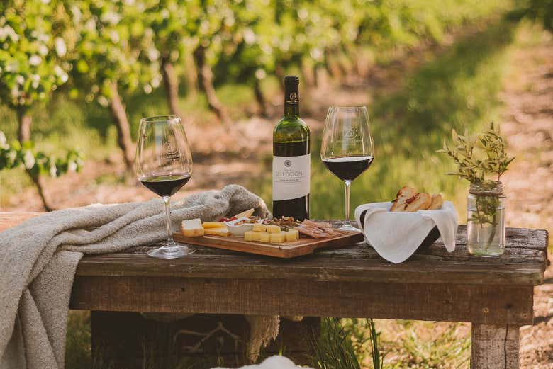 Visit the historic Zubizarreta Winery