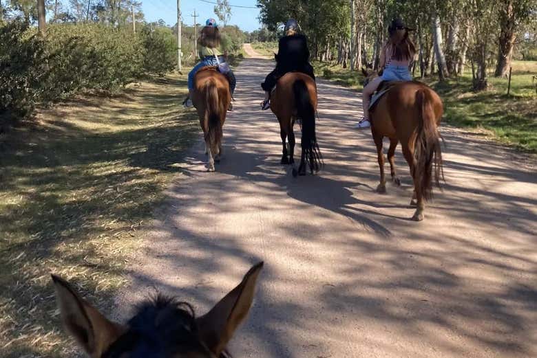 Horseback Riding Experience from Colonia del Sacramento