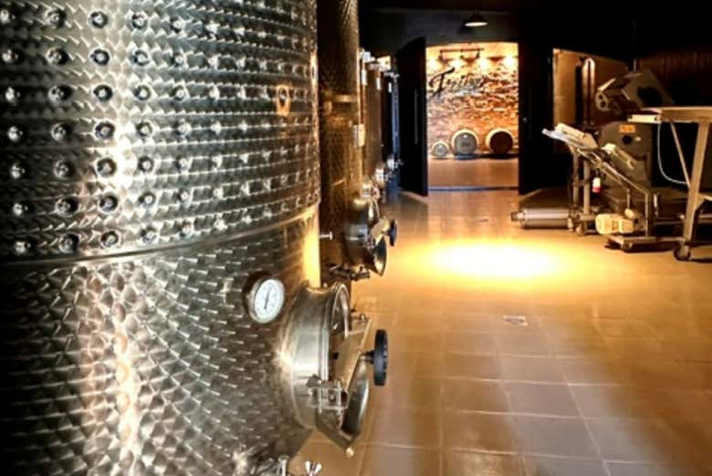 Visitando a adega da vinícola Fripp