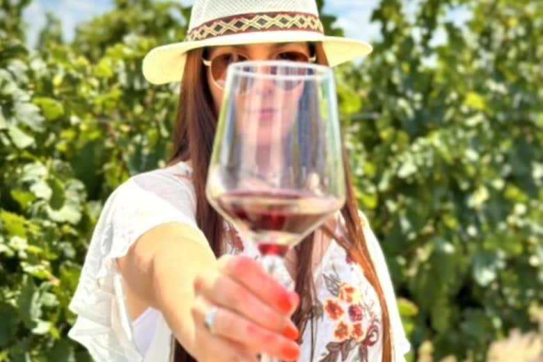 Provaremos os vinhos da vinícola Fripp