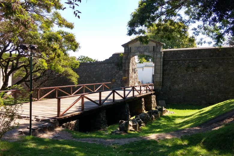 Contemplando el Portón del Campo