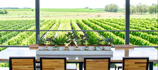 Visita à vinícola Fripp