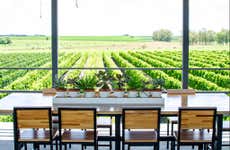 Visita a la bodega Fripp