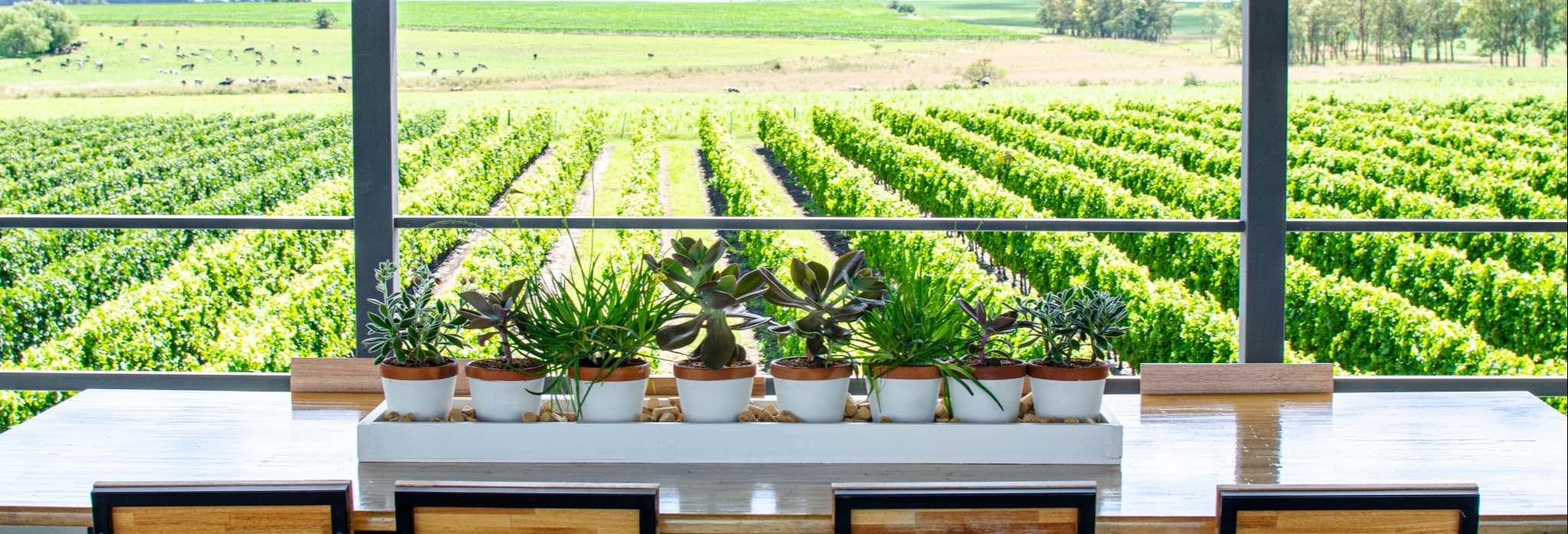 Gastronomía y enoturismo en Colonia del Sacramento