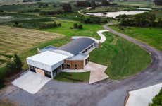 Visita a los viñedos y olivares del Quintón