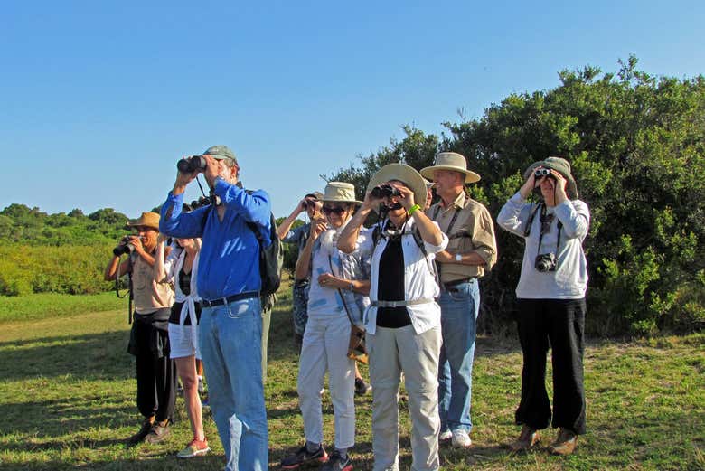 A group of tourists spotting birds