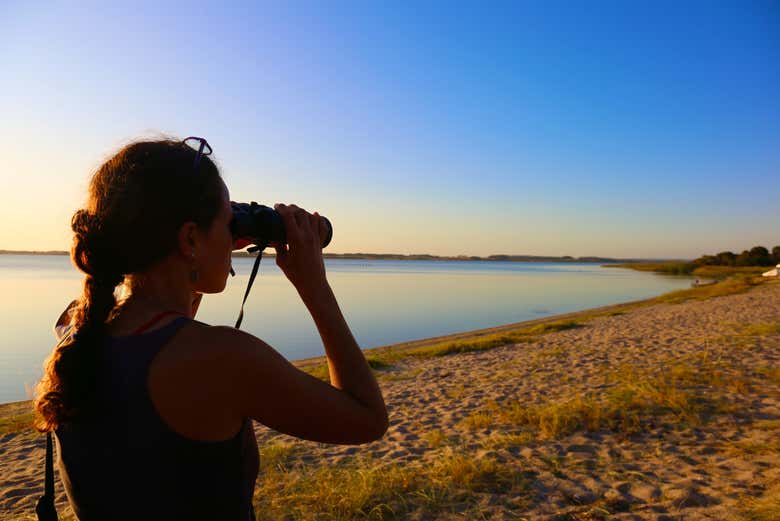 Take the chance to do some bird watching