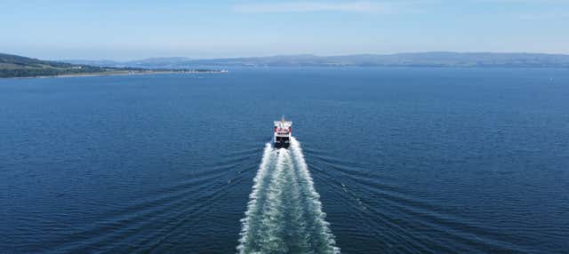 Transporte a Buenos Aires: Autobús + Ferry