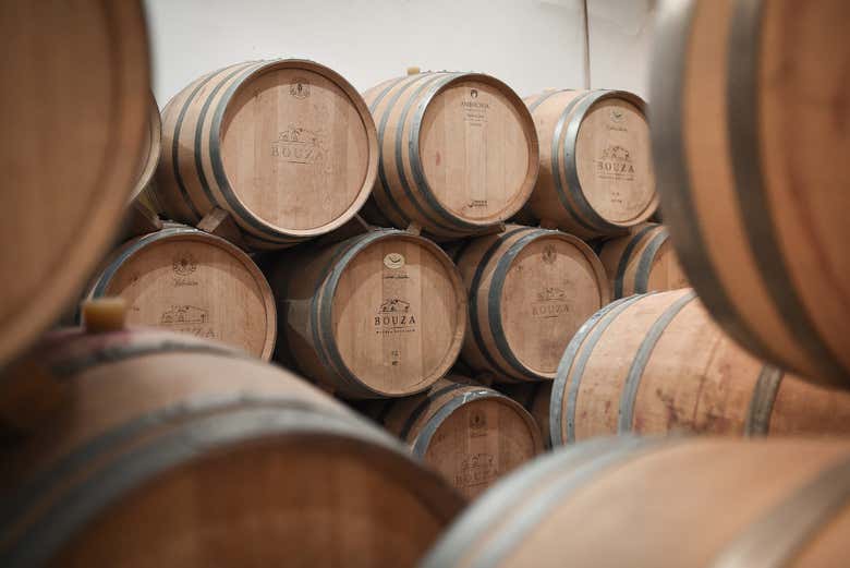Explore the Bodega Bouza