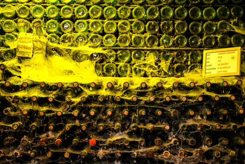 Explore the bottles in the Santa Rosa museum