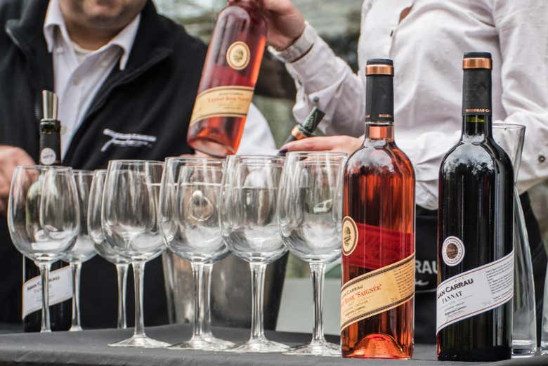 Degustazione di vino nella Cantina Carrau