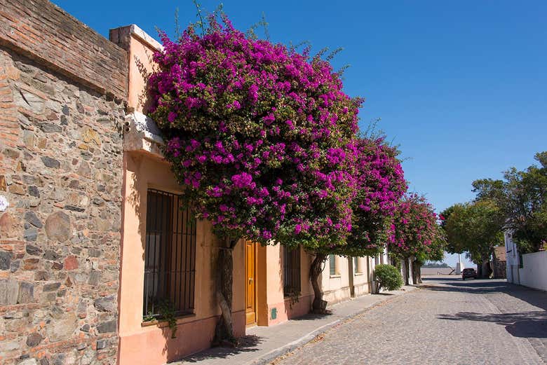 Una de las calles del casco antiguo de Colonia