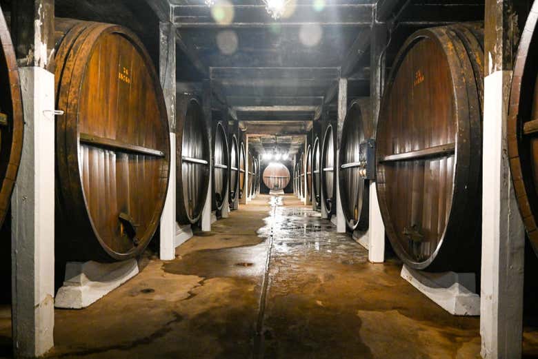 Come on this tour of the Santa Rosa Winery