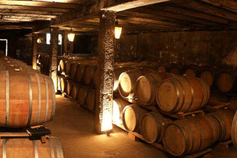 Botti della cantina Carrau