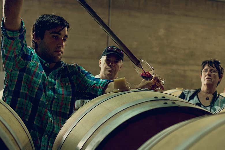 Tasting the wine