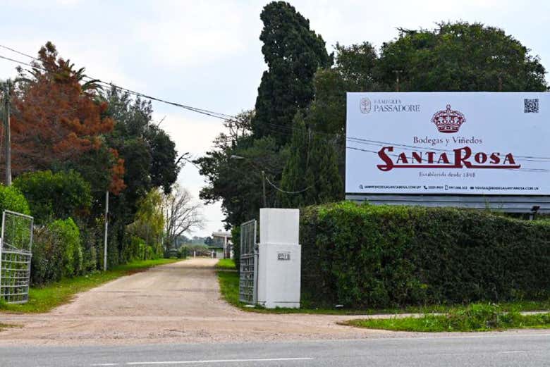 A entrada da vinícola Santa Rosa