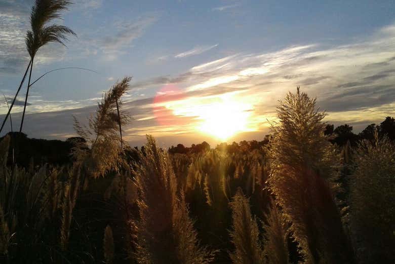 Atardecer en la estancia ecológica de La Macarena