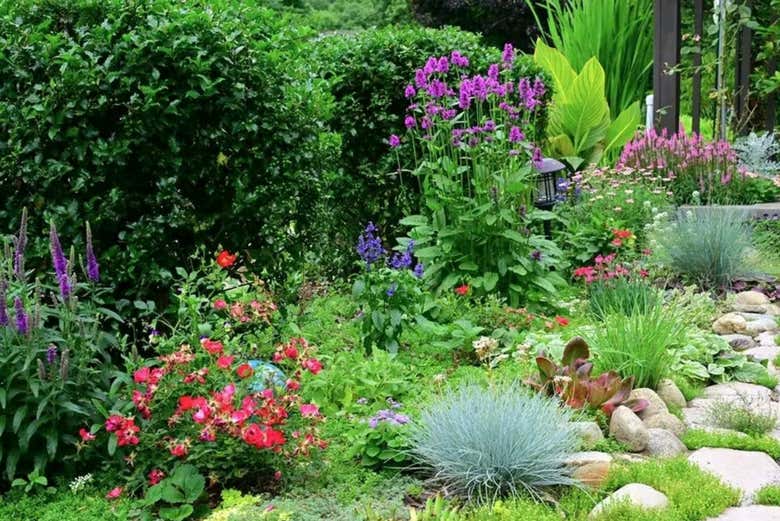Jardines en Villa Colón