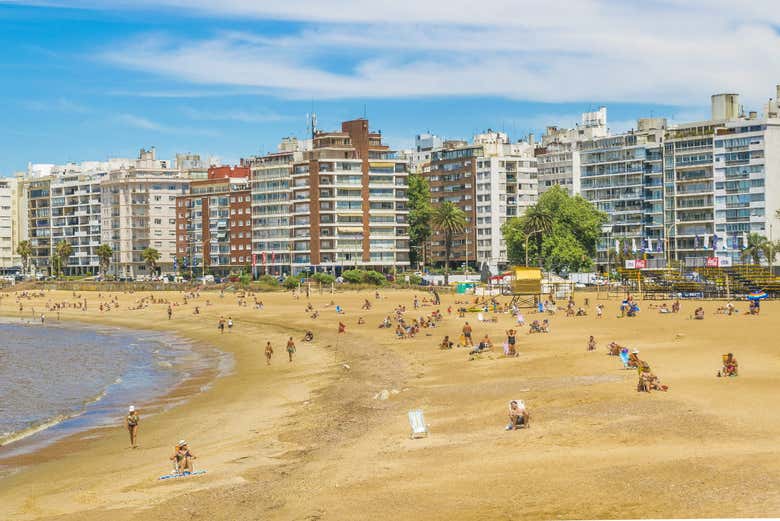 Pocitos Beach