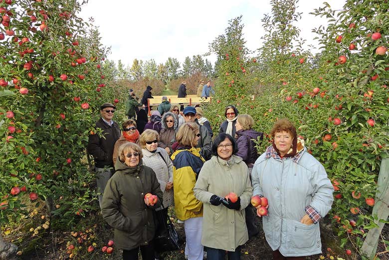 Cogiendo frutas en la estancia ecológica de La Macarena