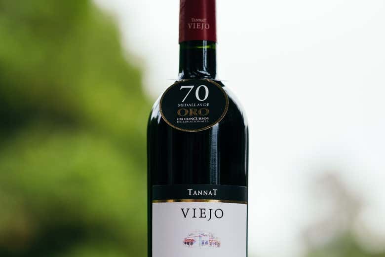 De los mejores vinos de Uruguay