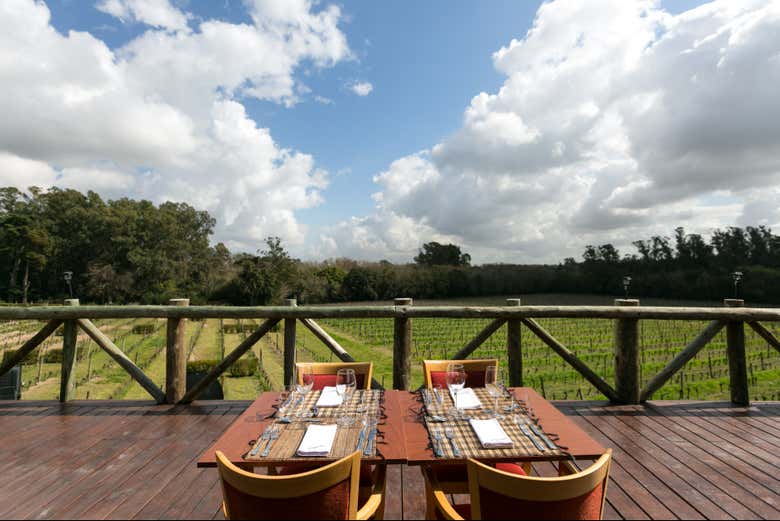 Terraza en la bodega H. Stagnari