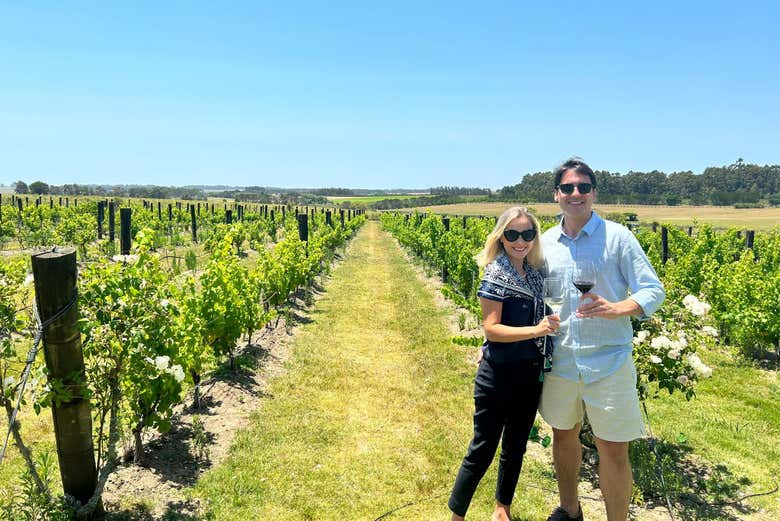 Recorriendo el viñedo