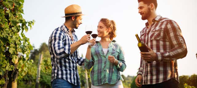 Tour de bodegas y degustación de vino