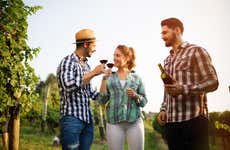 Tour privato di vigneti e cantine