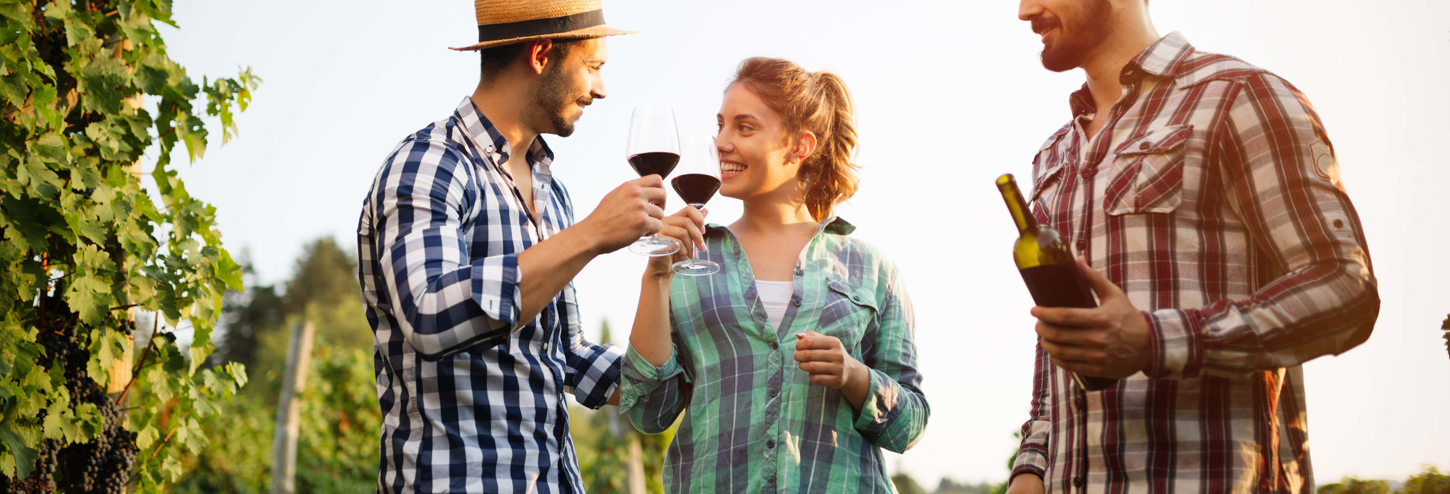 Gastronomia e enoturismo em Montevidéu