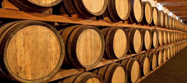 Visita à adega Familia Dardanelli