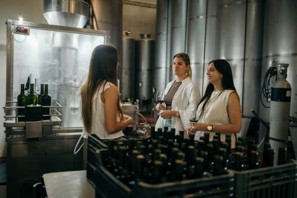Visita a la bodega H. Stagnari