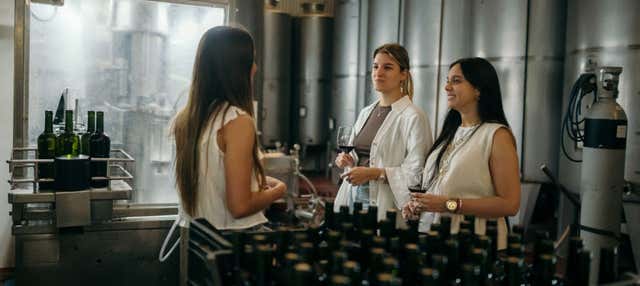 Visita a la bodega H. Stagnari
