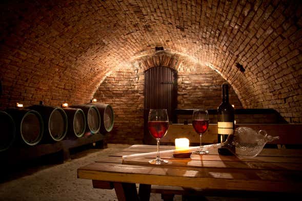 Visita a la bodega Juanicó