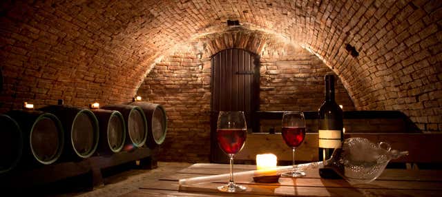 Visita à vinícola Juanicó