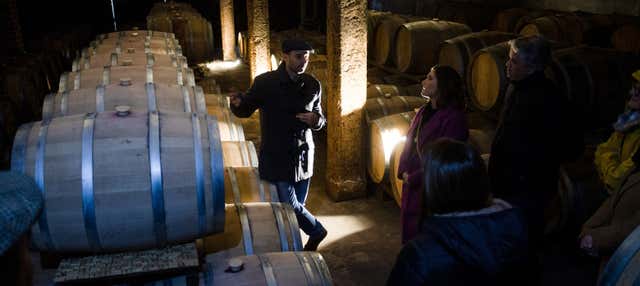 Visita a Bodegas Carrau