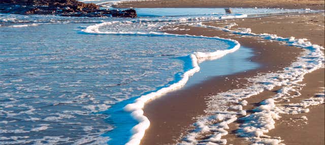 Excursión privada al balneario José Ignacio