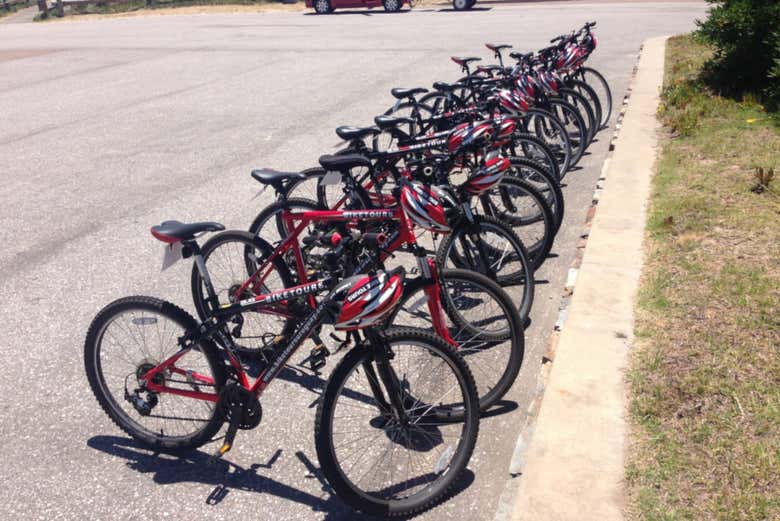 Bicicletas para nosso tour