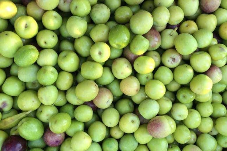 Olivas en primer plano