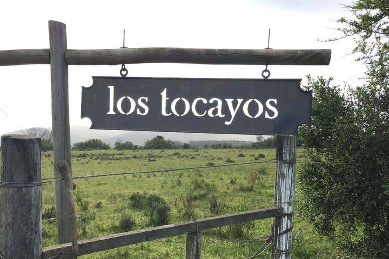 Cartel en la entrada de Olivos de las Ánimas