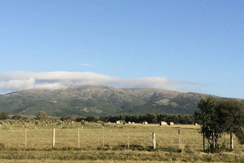 Paisajes en Olivos de las Ánimas