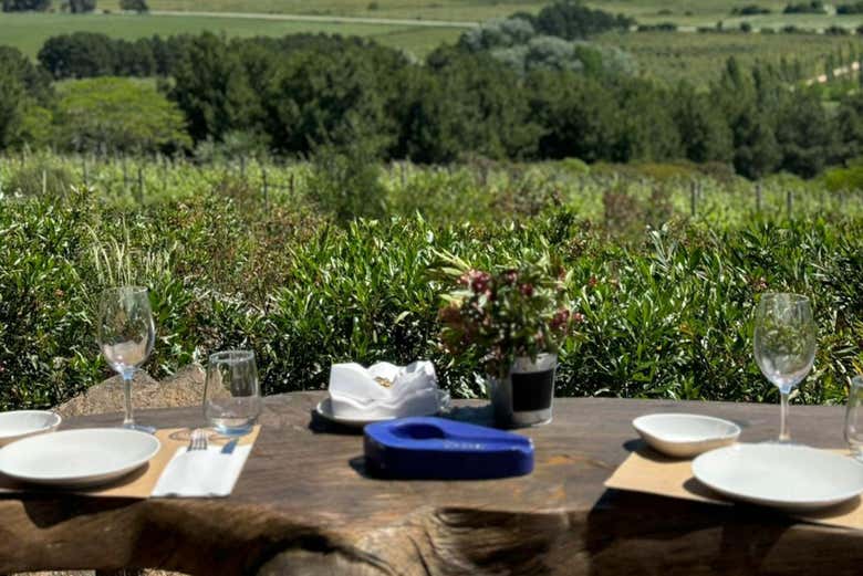 La vista a los viñedos desde la terraza