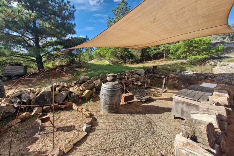 Patio de la bodega Alto de la Ballena