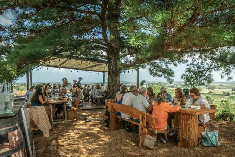 Terraza donde disfrutaremos de la degustación de vinos