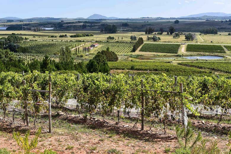 Alto de la Ballena se encuentra en un entorno privilegiado