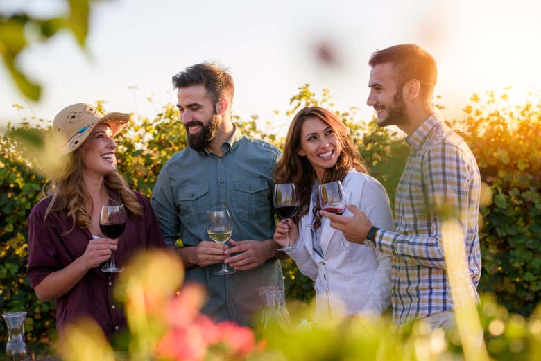 Taste different Uruguayan wines
